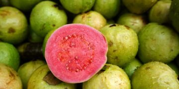 wellhealthorganic.com:5-amazing-health-benefits-of-guava