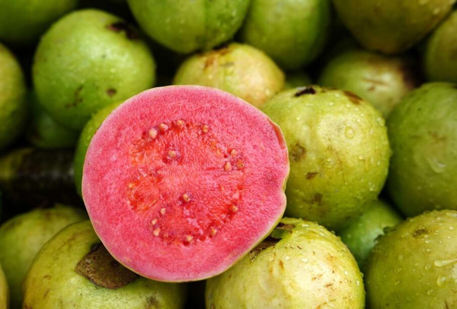 wellhealthorganic.com:5-amazing-health-benefits-of-guava