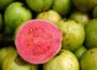 wellhealthorganic.com:5-amazing-health-benefits-of-guava