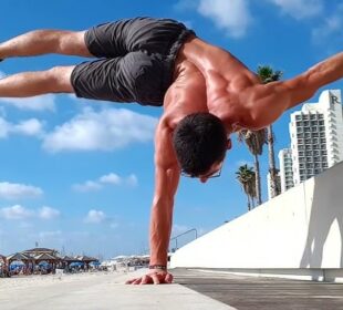 Calisthenics 101 Difference Between Workout Plans And Program, Plans For Beginners And Experts