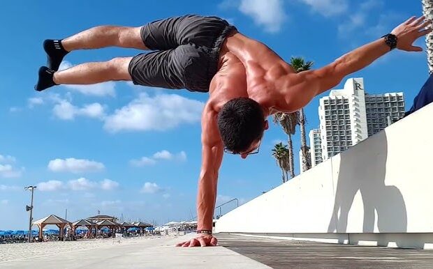 Calisthenics 101 Difference Between Workout Plans And Program, Plans For Beginners And Experts